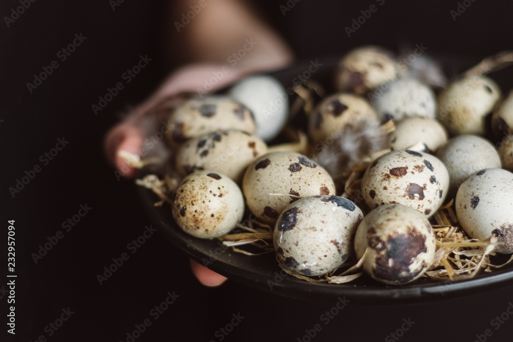 Obraz premium The cook is holding raw quail eggs on black plate 