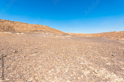 Whimsical Patterns of the Desert