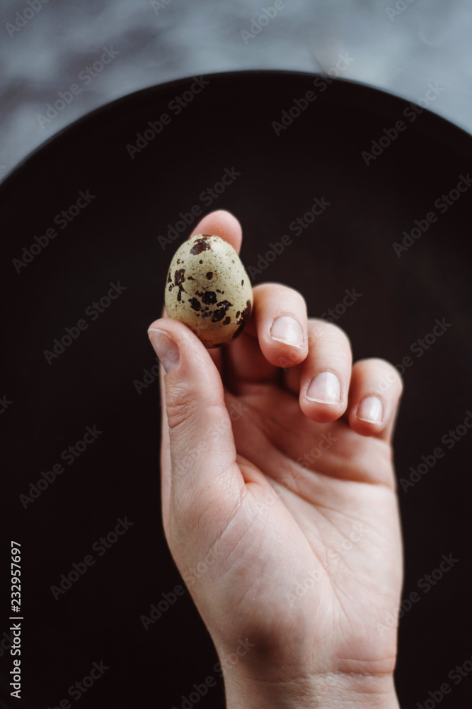 Woman is holding hands small raw quail egg. Dark concrete background, top view Woman is holding hands small raw quail egg. Dark concrete background, top view
