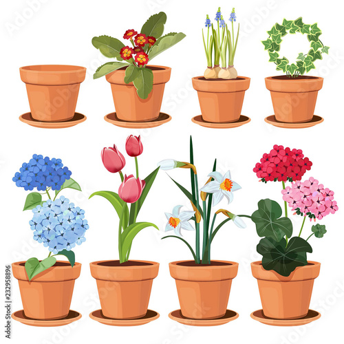 Flowers pot. Decorative colored plants grow at home in funny pots vector cartoon illustrations set isolated. Flowerpot and houseplant, tulip and geranium flower photo