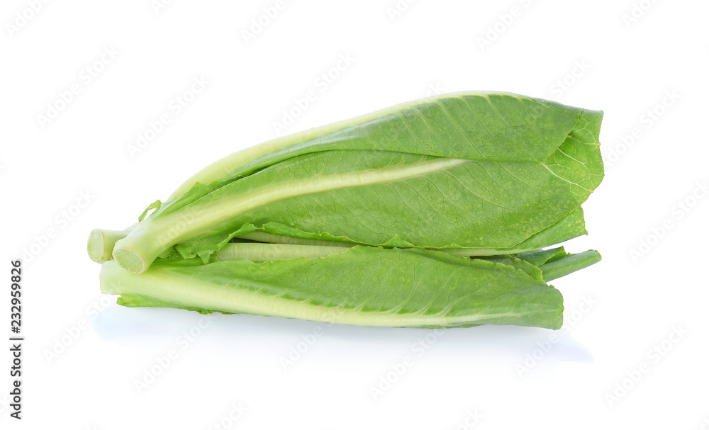 green cos isolated on white background green cos isolated on white background