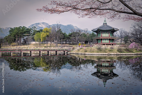 Photography Gyeongbokgung Palace - Korea - Seoul