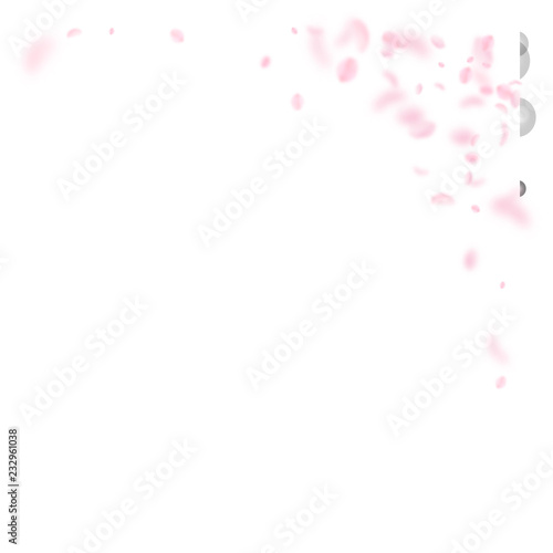 7441828 Sakura petals falling down. Romantic pink flowers