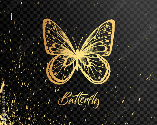 Butterfly. Vector illustration. Elegant butterfly logo for feminine business.