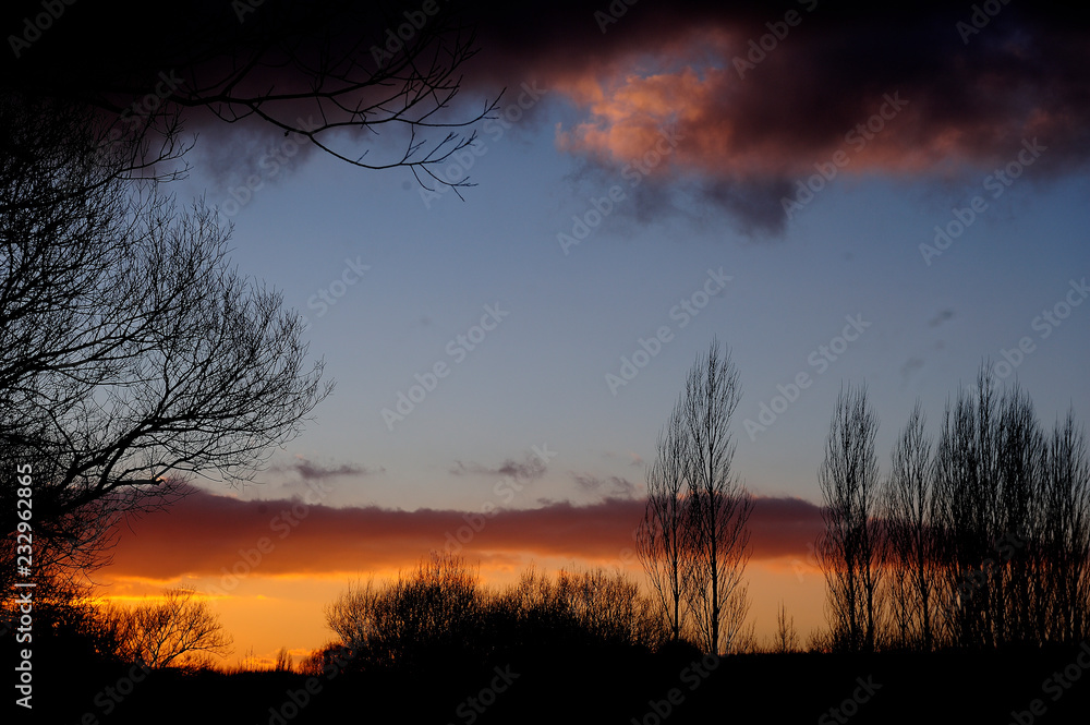 atardecer en invierno en el parque de Salburua, Vitoria-Gasteiz (Spain) atardecer en invierno en el parque de Salburua, Vitoria-Gasteiz (Spain)
