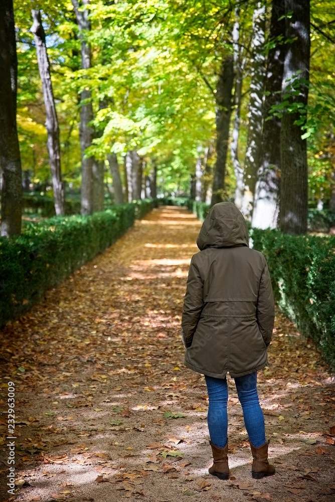 Obraz premium A lonely woman walks through a tranquil park in autumn