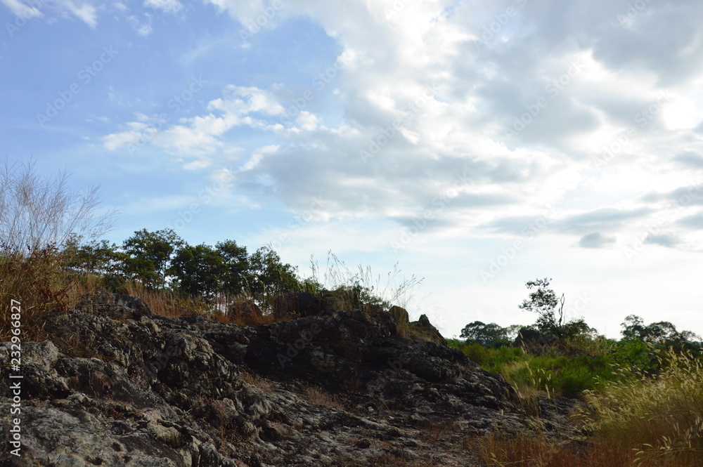 landscape of rock and grass flower on Khao Lon mountain in Thailand