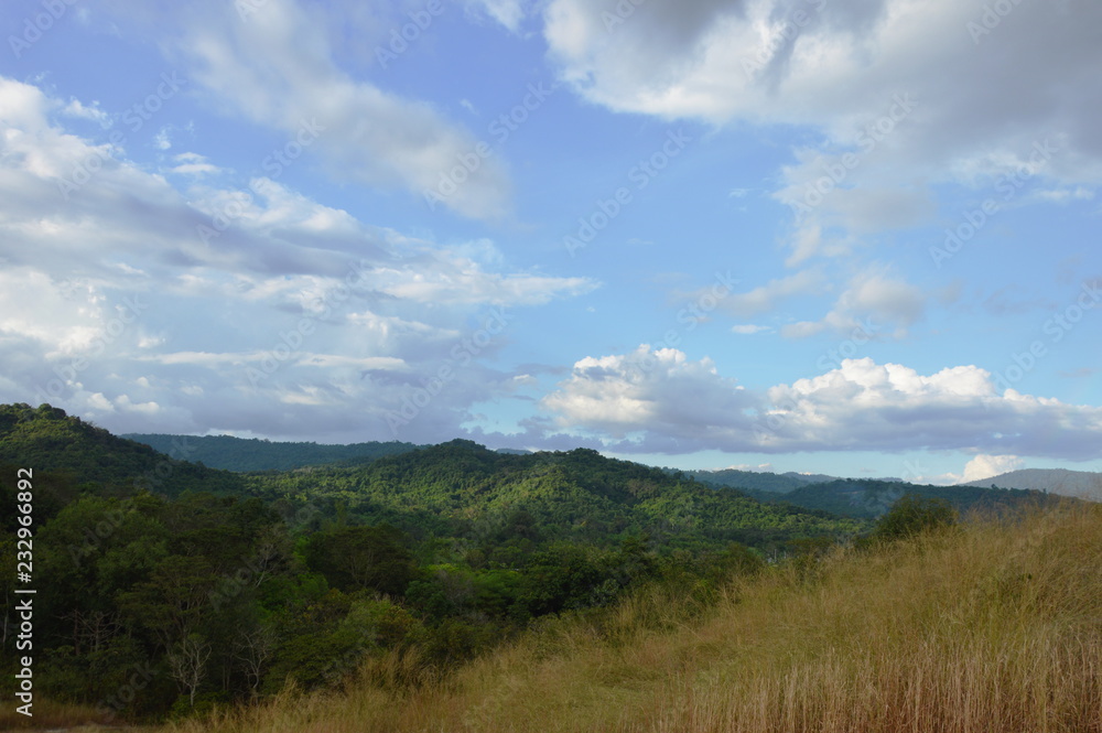 landscape of grass flower field blowing from wind on Khao Lon mountain in Thailand landscape of grass flower field blowing from wind on Khao Lon mountain in Thailand