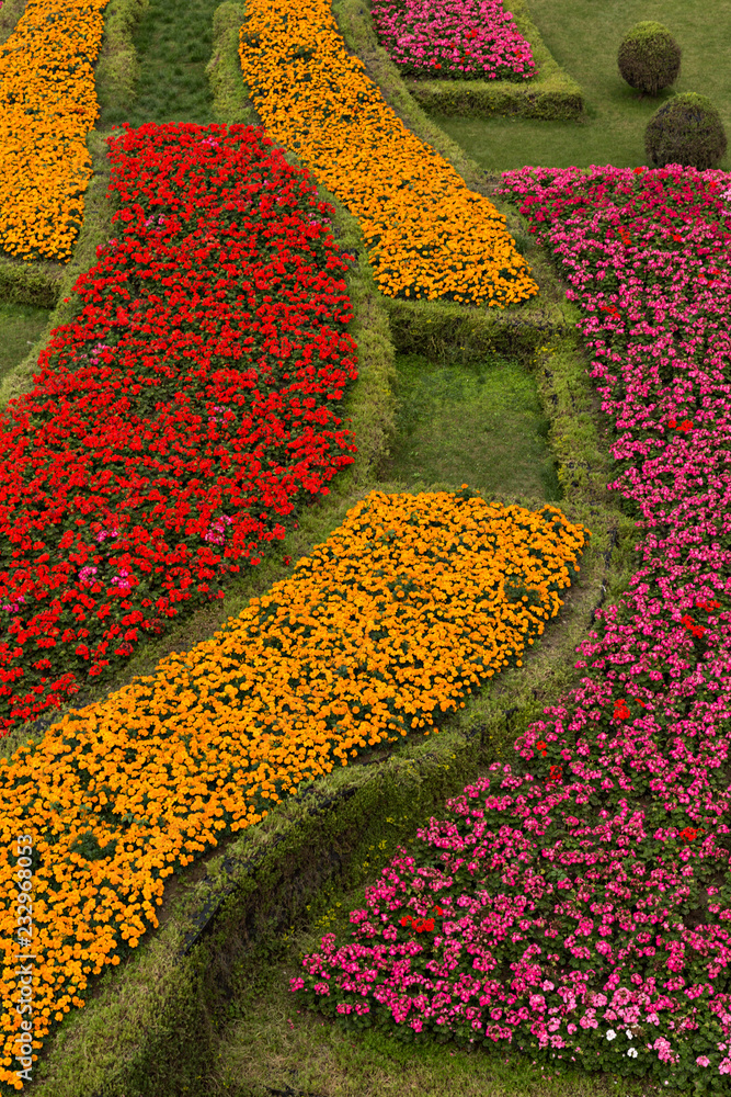 Jardín con setos de flores. Stock Photo | Adobe Stock