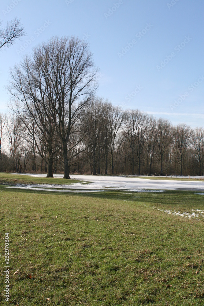 Winter in der Siegaue Winter in der Siegaue