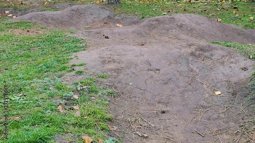 Remote controled fast truggy car jump on the track photo