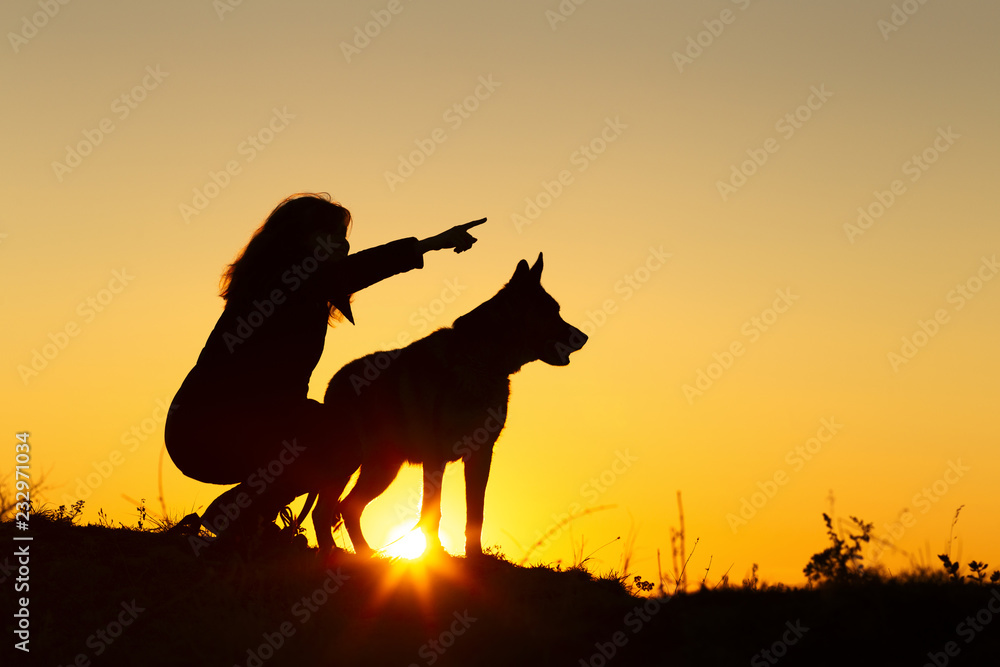 silhouette woman walking with a dog in the field at sunset, a girl showing her pet target ahead on the nature silhouette woman walking with a dog in the field at sunset, a girl showing her pet target ahead on the nature
