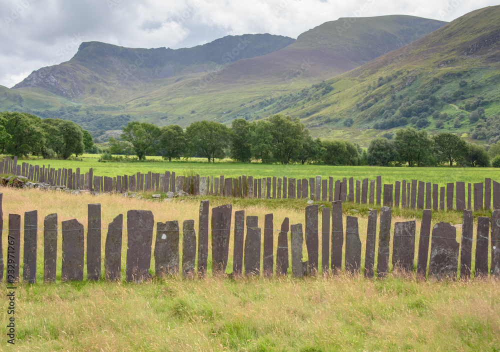 Slate fence in landscape