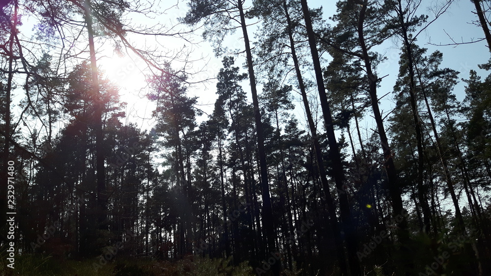 Sonnenschein Sonnenschein