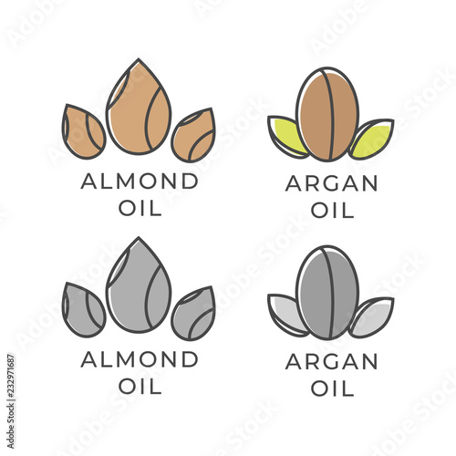 Almond and argan oil icon. Almond oil logo. Argan oil vector logo