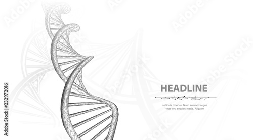 DNA. Abstract 3d polygonal wireframe dna molecule helix spiral on white background. photo