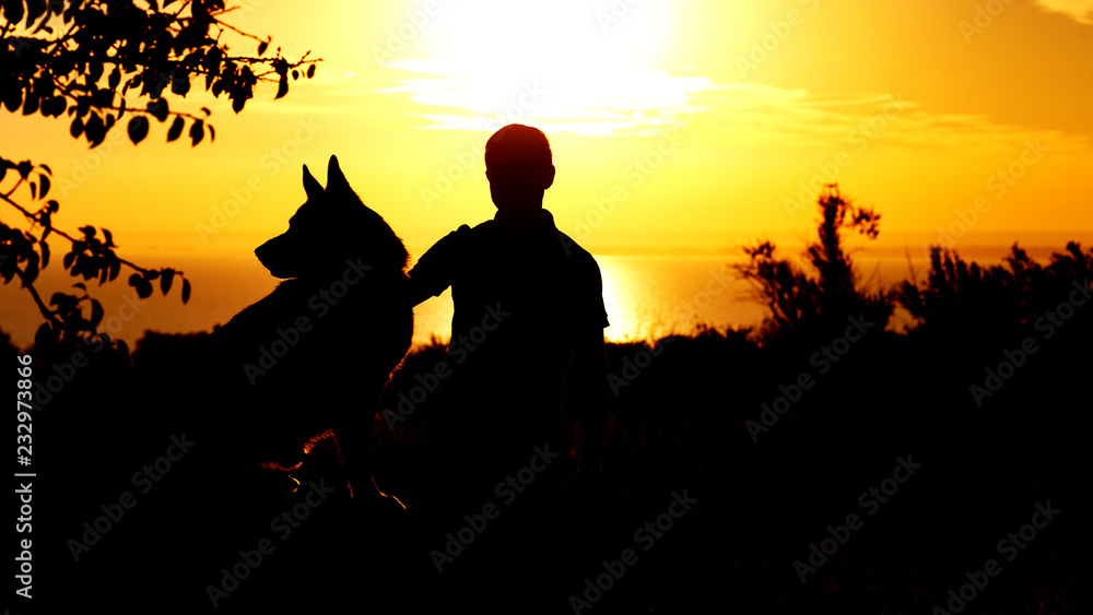 silhouette of man embracing his dog sitting nearby , boy walking on nature with pet at sunset in a field,concept friendship men and animal
