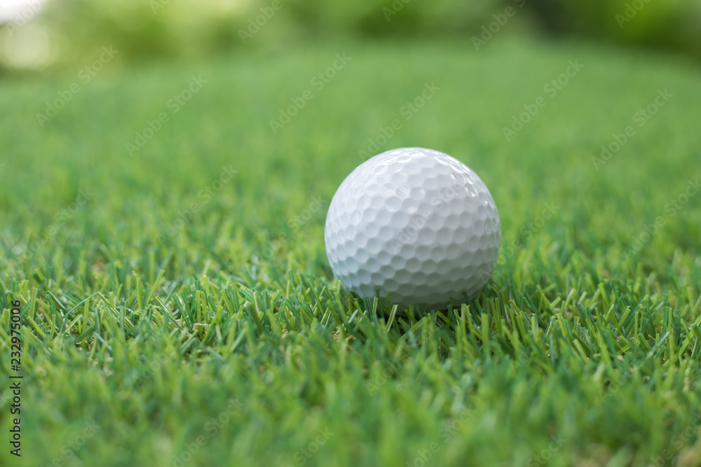 Golf ball on grass. Golf ball on grass.