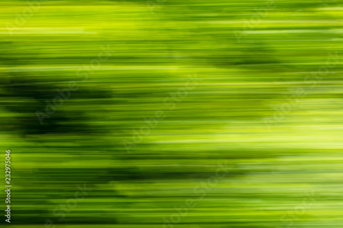 Nature in motion from the train window