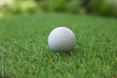 Golf ball on grass.
