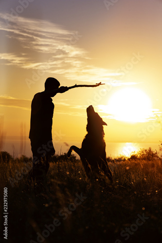 silhouette of a young man playing with pet in a field at sunset, dog jumps for a wooden stickin boy's hand on nature,