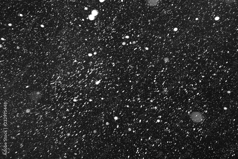 Obraz premium Real falling snow on a black background