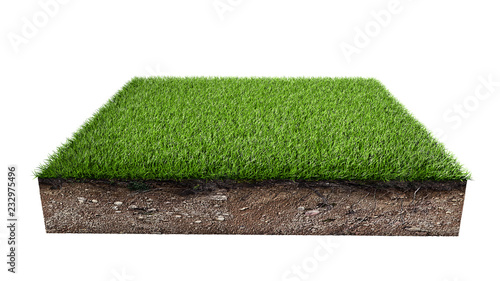 Green grass land piece