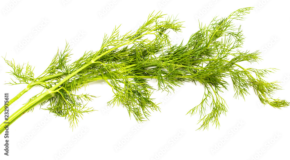 Fototapeta premium Green leaves of dill on a white background