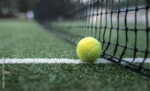 Obraz Żółta piłka tenisowa przy siatce