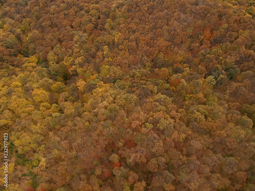 Aerial view at the autumn f...