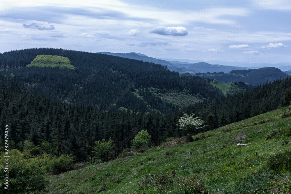 green landscape in basque country