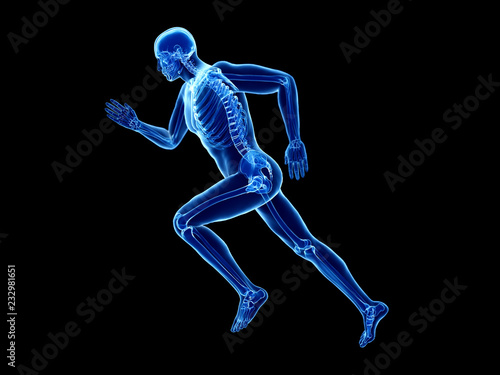 3d rendered illustration of a joggers skeleton © SciePro