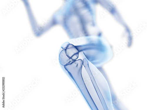 Photos 3d rendered illustration of a joggers knee