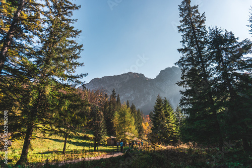 Fototapeta Naklejka Na Ścianę i Meble -  Dolina Kościeliska
