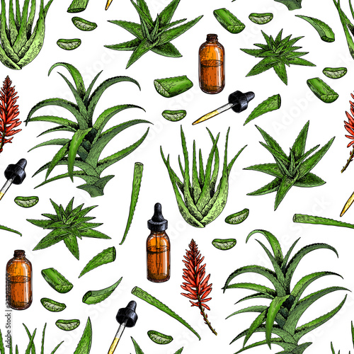 Seamless vector pattern of aloe vera branch and leaves. Hand drawn. Engraved colored medical, cosmetic plant. Moisturizing serum, healthcare. Cosmetics, medicine, treating, package design, skincare.