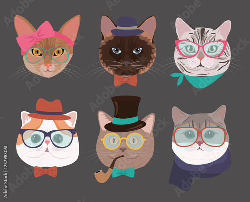Set of hipster cats of different breeds. Editable vector illustration