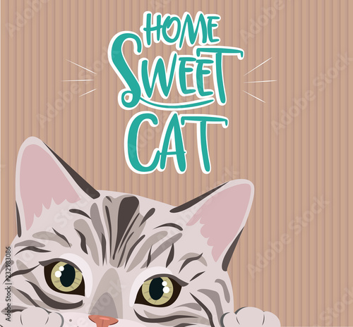 Home sweet cat cute illustration with cat. Editable vector illustration