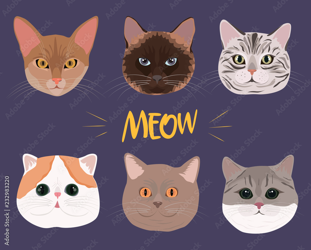 Set of cats of different breeds. Editable vector illustration Set of cats of different breeds. Editable vector illustration