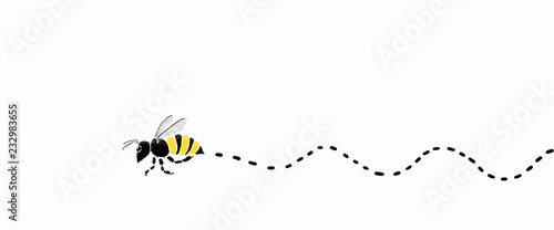 Bee flying on white color background.ideas of animal.clipping path