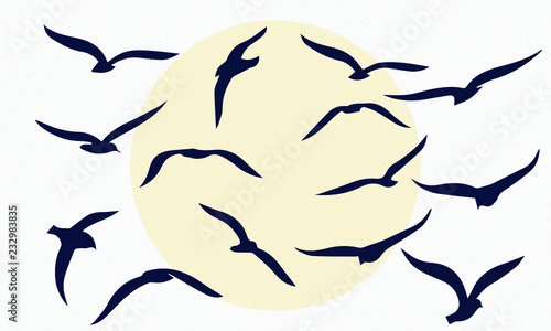 gulls. flocks of birds. silhouettes of seagulls.