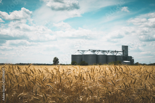 the grain elevator photo