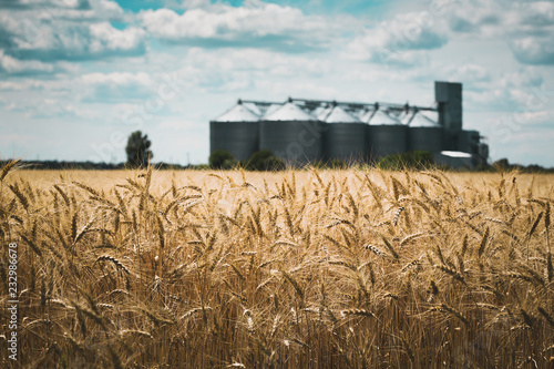 the grain elevator