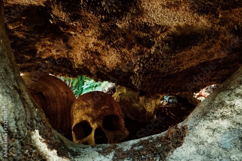 Photos human remains bones and scull at a traditional cannibal site next to a ground ov