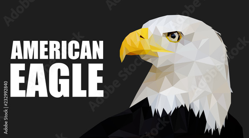 Eagle triangles low poly art vector