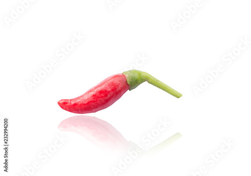 Hot red chili or chilli pepper photo