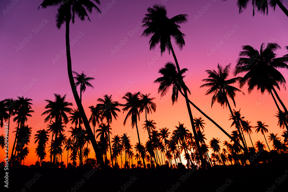Fototapeta Silhouette coconut palm trees with sunset and flare sky background.