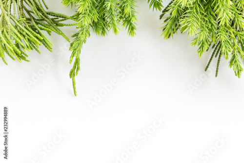 juniper  Thuja twig Christmas border on white background