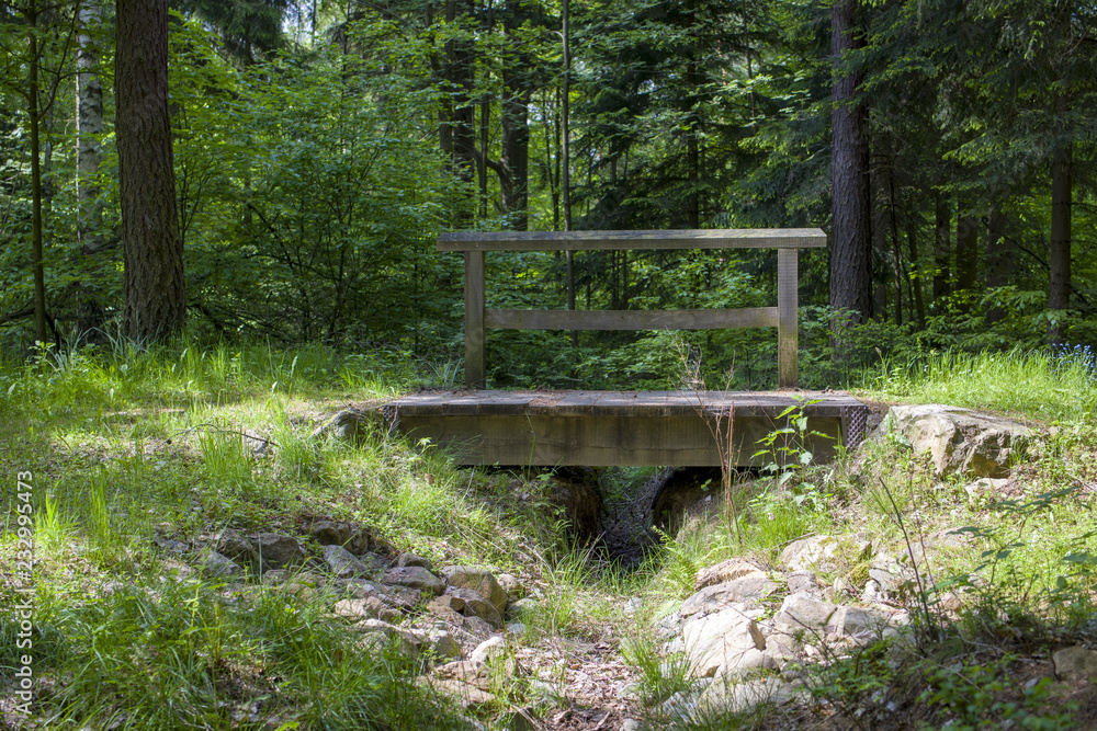 Fototapeta premium brücke im wald 