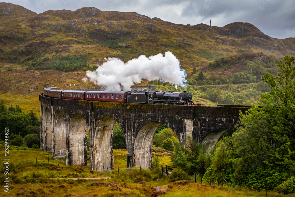 Fototapeta premium Glenfinnan Railway Viaduct with train
