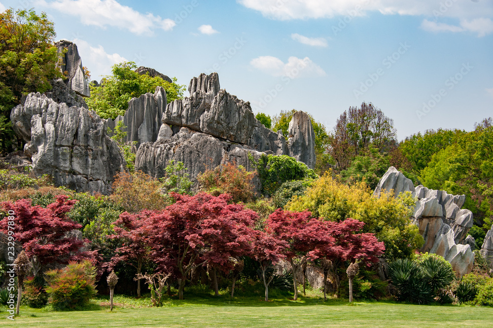 Obraz premium China's stone forest with colourful trees